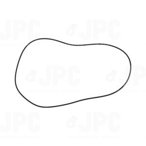O-ring Genuine 001051178